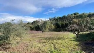 Terreno de 280 m² em Santarém