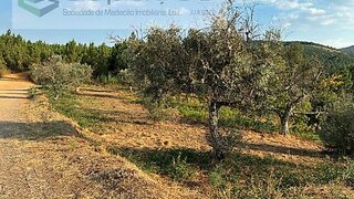 Land for sale in Fundão, Portugal — €40,000