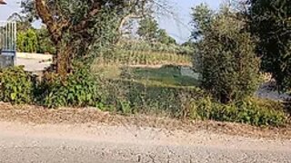 Land for sale in Ansião, Portugal — €12,000