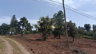 Land for sale in Idanha-a-Nova, Portugal — €28,600