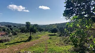 Terreno de 1680 m² em Faro