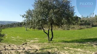 Terreno para venda em Celorico da Beira, Portugal — 45 000 €