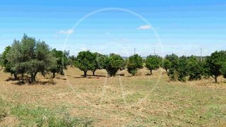 Land for sale in Arraiolos, Portugal — €195,000