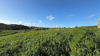 Land for sale in Mafra, Portugal — €69,000