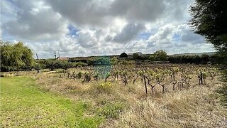 Land for sale in Torres Vedras, Portugal — €350,000