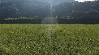 Land for sale in Ponta Delgada, Portugal — €185,000