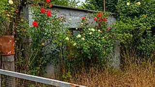 Terreno em Viseu · 2380 m² · 80 000 €