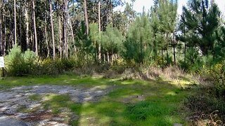 Terreno de 1900 m² em Leiria