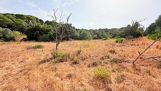 Land for sale in Lagoa, Portugal — €95,000