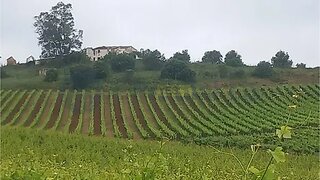 Land for sale in Estremoz, Portugal — €980,000
