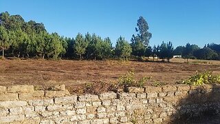 Land for sale in Anadia, Portugal — €210,000