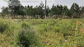 Land for sale in Seixal, Portugal — €330,000
