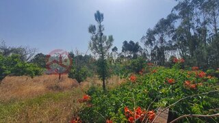 Land for sale in Seixal, Portugal — €109,900