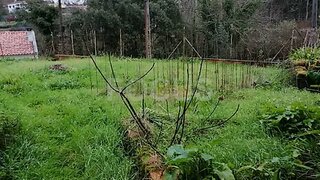 Land for sale in Águeda, Portugal — €20,000