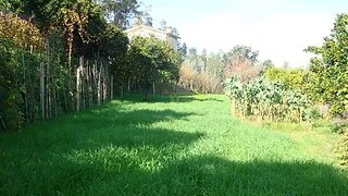 Land for sale in Águeda, Portugal — €50,000