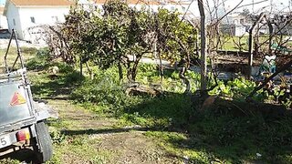 Land for sale in Horta, Portugal — €75,000