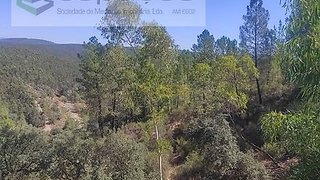 Terreno de 36 500 m² em Castelo Branco