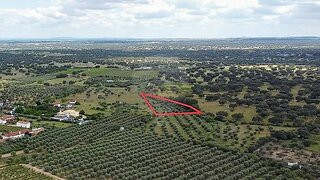 Land for sale in Reguengos de Monsaraz, Portugal — €13,000