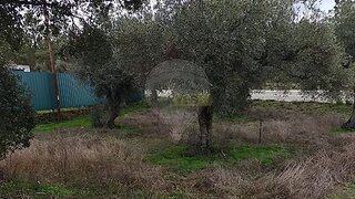 Terreno de 480 m² em Castelo Branco