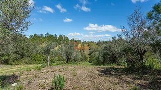 Land for sale in Torres Novas, Portugal — €4,900