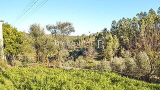 Land for sale in Proença-a-Nova, Portugal — €22,500