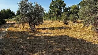 Land for sale in Tomar, Portugal — €13,000