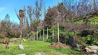 Land for sale in Albergaria-a-Velha, Portugal — €75,000