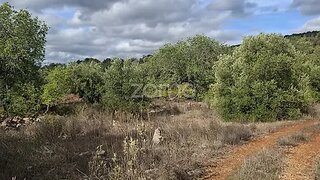 Land for sale in Loulé, Portugal — €45,000