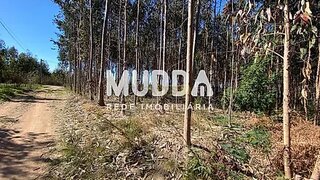 Land for sale in Albergaria-a-Velha, Portugal — €21,500
