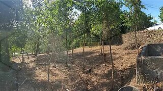 Land for sale in Melgaço, Portugal — €20,000