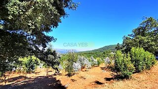 Terreno de 10 000 m² em Viana do Castelo