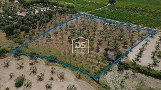 Terreno de 4750 m² em Castelo Branco