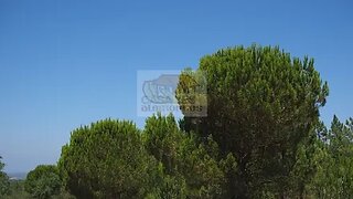 Land for sale in Grândola, Portugal — €320,000
