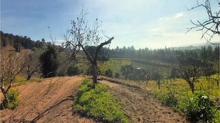 Land for sale in Bombarral, Portugal — €125,000