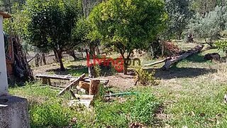 Terreno · 40 400 000 m² · 230 000 €