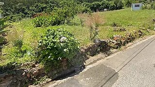 Land for sale in Alcobaça, Portugal — €198,000
