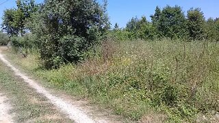 Land for sale in Águeda, Portugal — €35,000