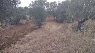 Land for sale in Sardoal, Portugal — €98,500