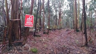 Land for sale in Barcelos, Portugal — €38,000