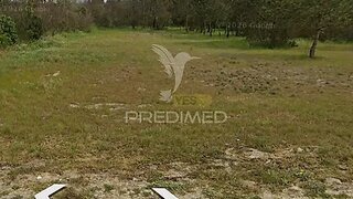 Land for sale in Vagos, Portugal — €150,000