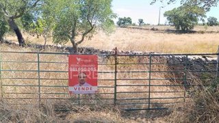 Land for sale in Nisa, Portugal — €25,000