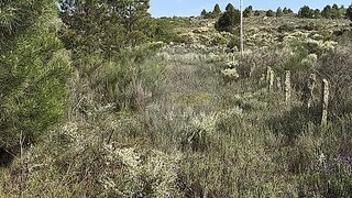 Land for sale in Vila Flor, Portugal — €25,000
