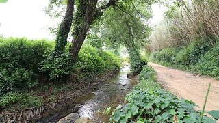 Terreno em Mafra · 3500 m² · 69 900 €