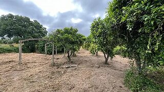 Terreno em Santarém · 3775 m² · 350 000 €