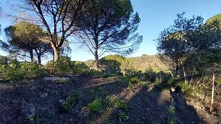 Land for sale in Grândola, Portugal — €390,000