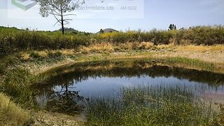 Land for sale in Castelo Branco, Portugal — €26,000