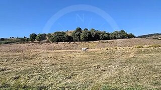 Land for sale in Torres Vedras, Portugal — €280,000