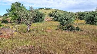 Land for sale in Loulé, Portugal — €36,500
