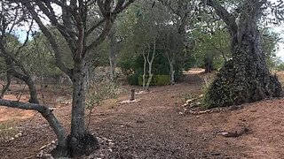 Land for sale in Loulé, Portugal — €372,000