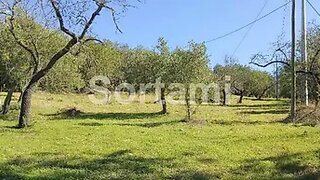 Land for sale in São Brás de Alportel, Portugal — €52,500